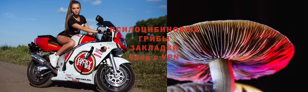 винт Покров