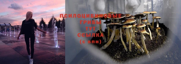 бошки Дмитров