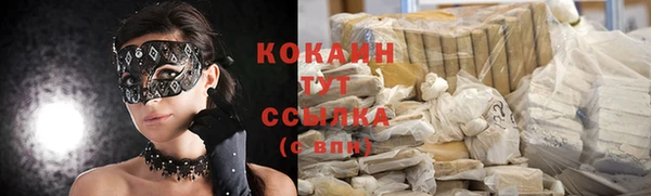 молекула духа Гусиноозёрск