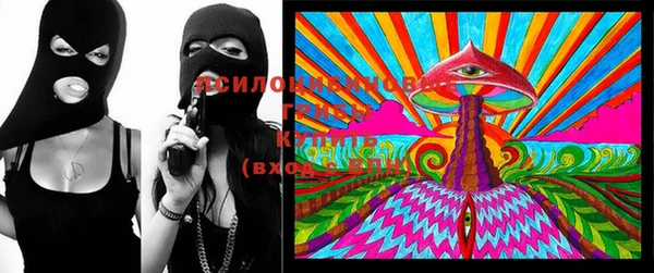 метадон Гусь-Хрустальный