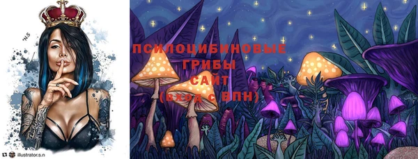 метадон Гусь-Хрустальный
