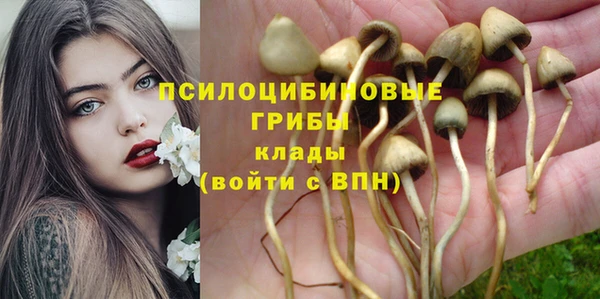 круглые Дмитровск