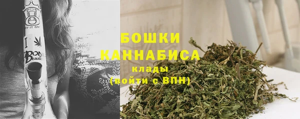 стафф Дмитриев